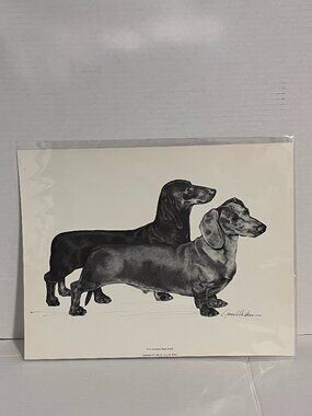Dog Print Art Print Charcoal Drawing by Gary H. Kokes 11in x 14in